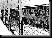 Auschwitz II-Birkenau concentration camp. Sector BII a. SS photograph. * 760 x 550 * (112KB)